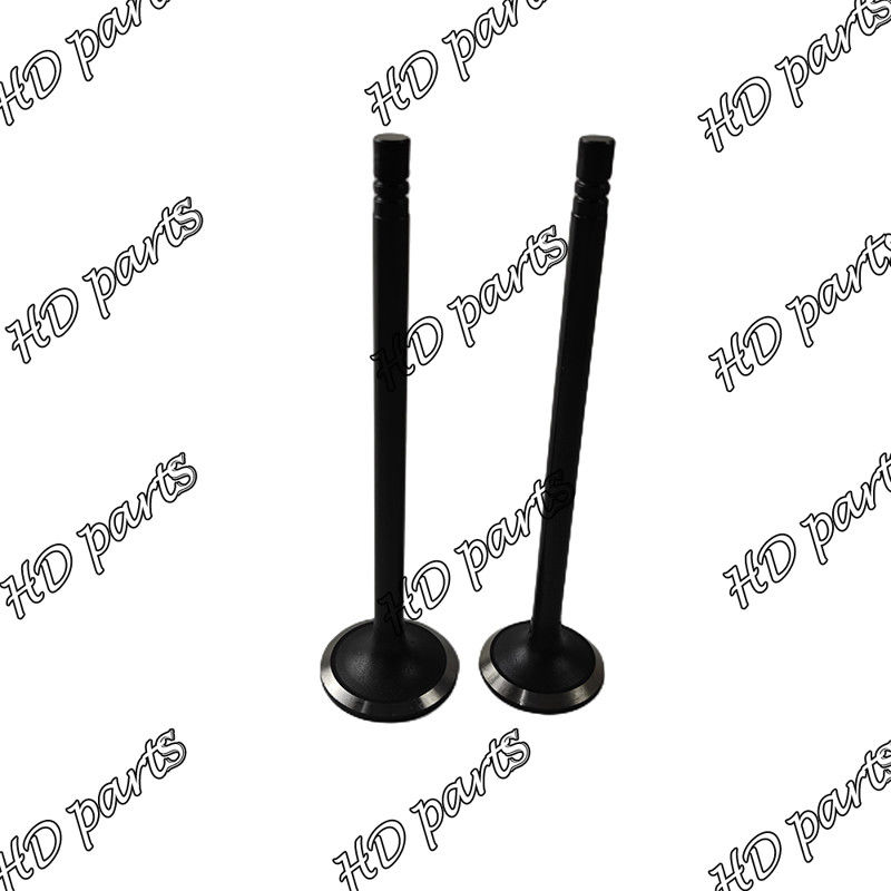 Valvola diesel 33704-10102 36204-21100 di S6B S6B3 36204-41101 36204-20100 per il motore di Mitsubishi