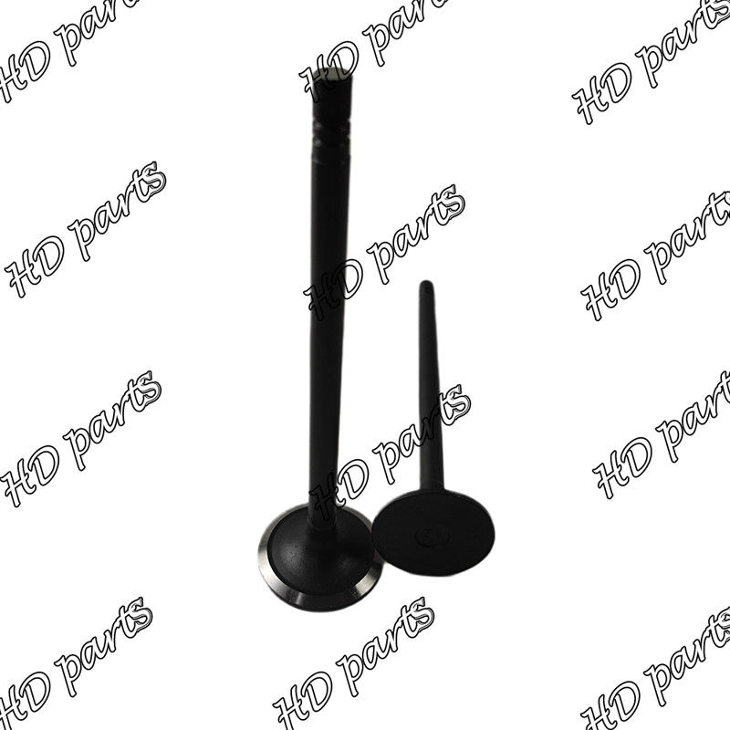Valvola diesel 33704-10102 36204-21100 di S6B S6B3 36204-41101 36204-20100 per il motore di Mitsubishi