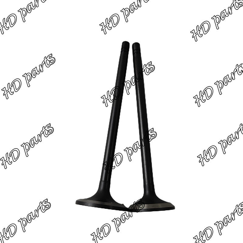 Valvola diesel 33704-10102 36204-21100 di S6B S6B3 36204-41101 36204-20100 per il motore di Mitsubishi