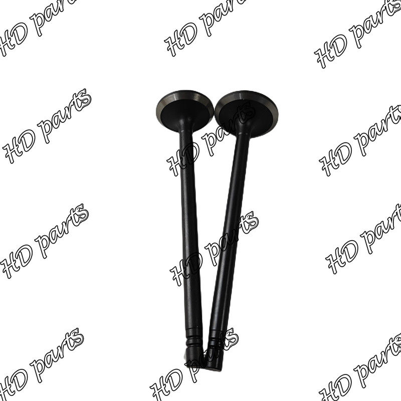 Valvola diesel 33704-10102 36204-21100 di S6B S6B3 36204-41101 36204-20100 per il motore di Mitsubishi