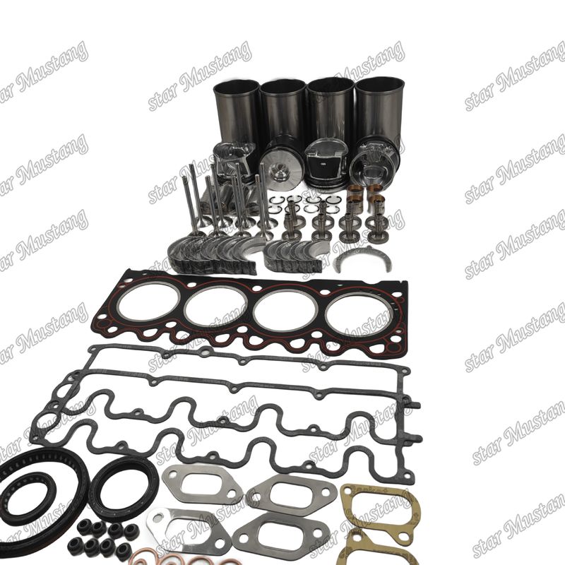 BF4M1011F Kit di riparazione di riparazione del cilindro di rivestimento del pistone Kit di guarnizione Kit di guarnizione del sedile della valvola Guida principale e del cuscinetto del bastone per Deutz
