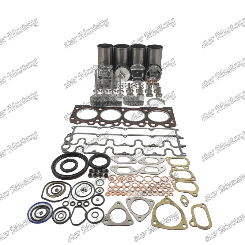 BF4M1011F Kit di riparazione di riparazione del cilindro di rivestimento del pistone Kit di guarnizione Kit di guarnizione del sedile della valvola Guida principale e del cuscinetto del bastone per Deutz