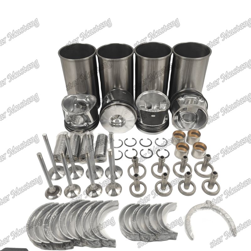 BF4M1011F Kit di riparazione di riparazione del cilindro di rivestimento del pistone Kit di guarnizione Kit di guarnizione del sedile della valvola Guida principale e del cuscinetto del bastone per Deutz