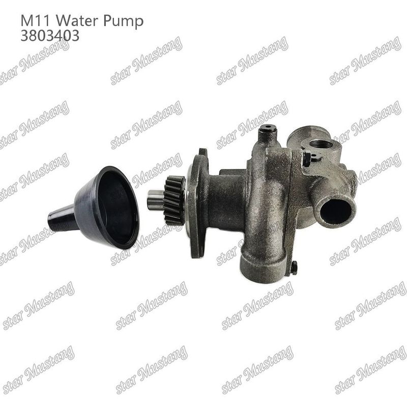 Pompa d'acqua M11 4955706 4926553 Fuoco corto per CUMMINS Parti di riparazione di motori diesel