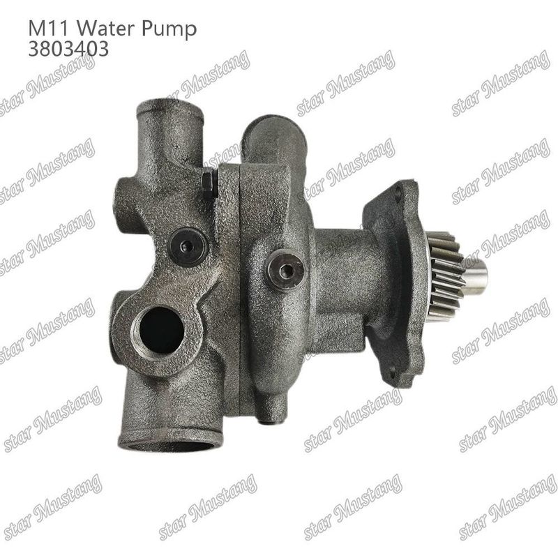 Pompa d'acqua M11 4955706 4926553 Fuoco corto per CUMMINS Parti di riparazione di motori diesel