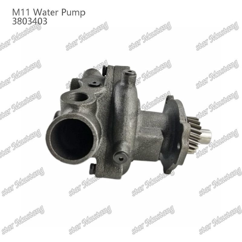 Pompa d'acqua M11 4955706 4926553 Fuoco corto per CUMMINS Parti di riparazione di motori diesel