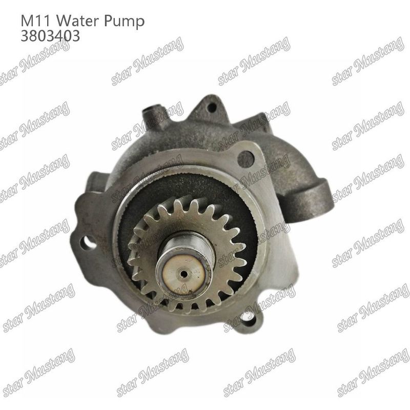 Pompa d'acqua M11 4955706 4926553 Fuoco corto per CUMMINS Parti di riparazione di motori diesel