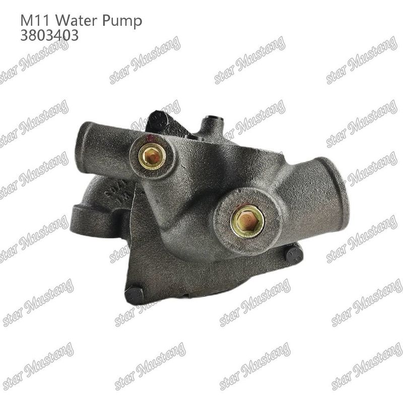 Pompa d'acqua M11 4955706 4926553 Fuoco corto per CUMMINS Parti di riparazione di motori diesel