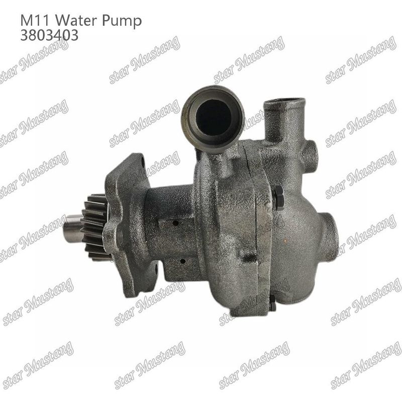 Pompa d'acqua M11 4955706 4926553 Fuoco corto per CUMMINS Parti di riparazione di motori diesel