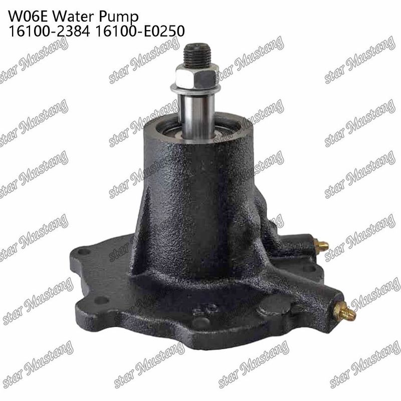 W06E Pompa dell'acqua per motore 16100-2384 16100-E0250 Per ricambi per motore HINO