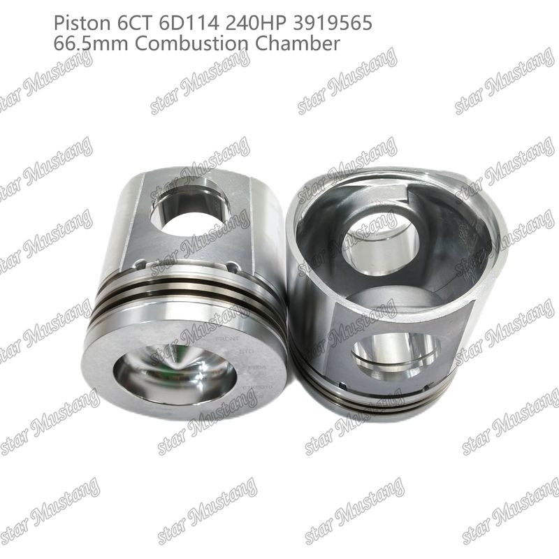 Piston 6CT 6D114 240HP 3919565 66,5 mm Camera di combustione Per parti di riparazione di motori diesel Cummins