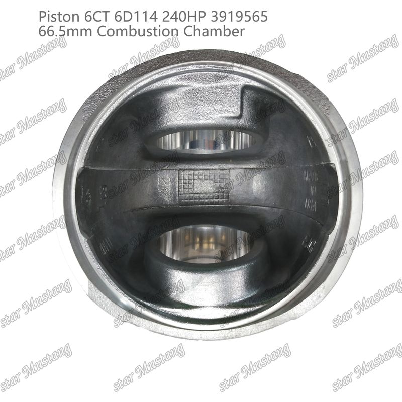 Piston 6CT 6D114 240HP 3919565 66,5 mm Camera di combustione Per parti di riparazione di motori diesel Cummins
