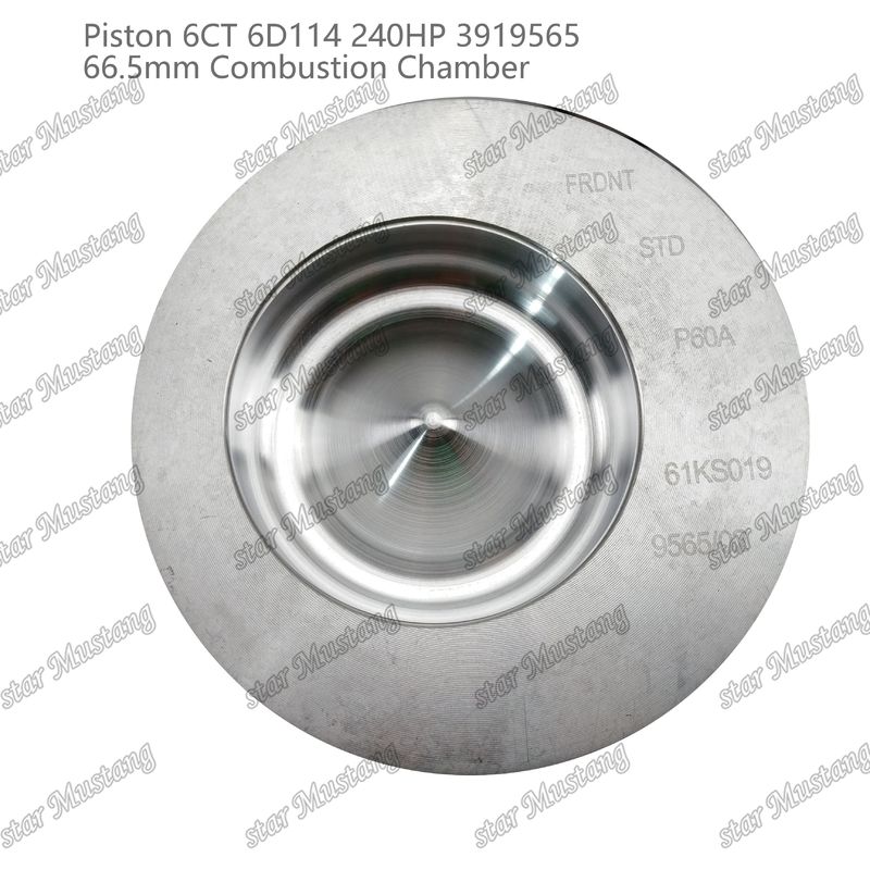 Piston 6CT 6D114 240HP 3919565 66,5 mm Camera di combustione Per parti di riparazione di motori diesel Cummins