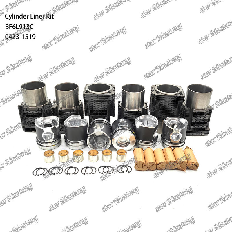 Nuovo kit di rivestimento per motori diesel tipo BF6L913C 0423-1519