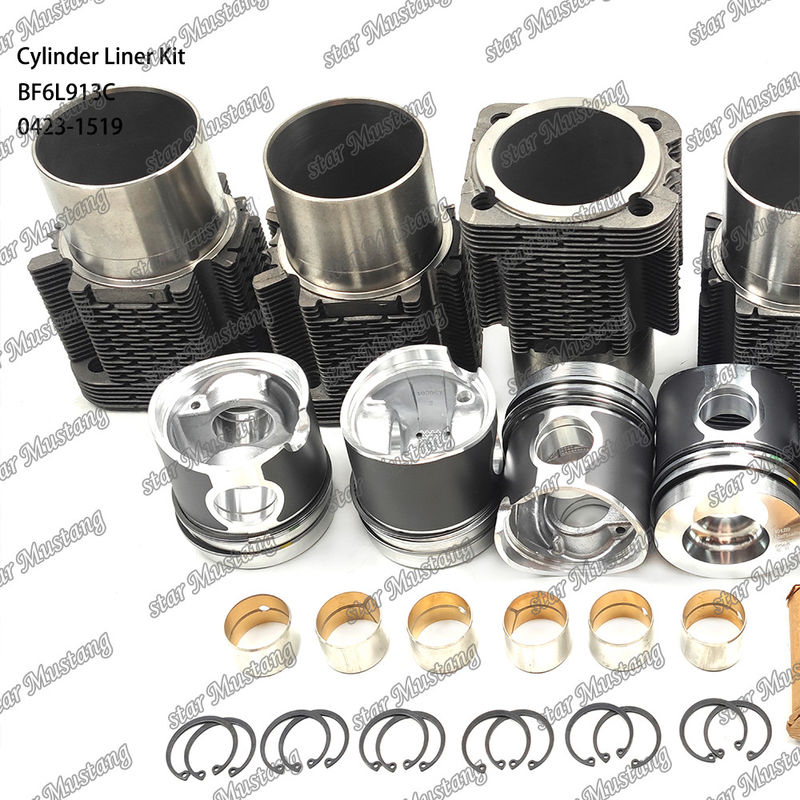 Nuovo kit di rivestimento per motori diesel tipo BF6L913C 0423-1519