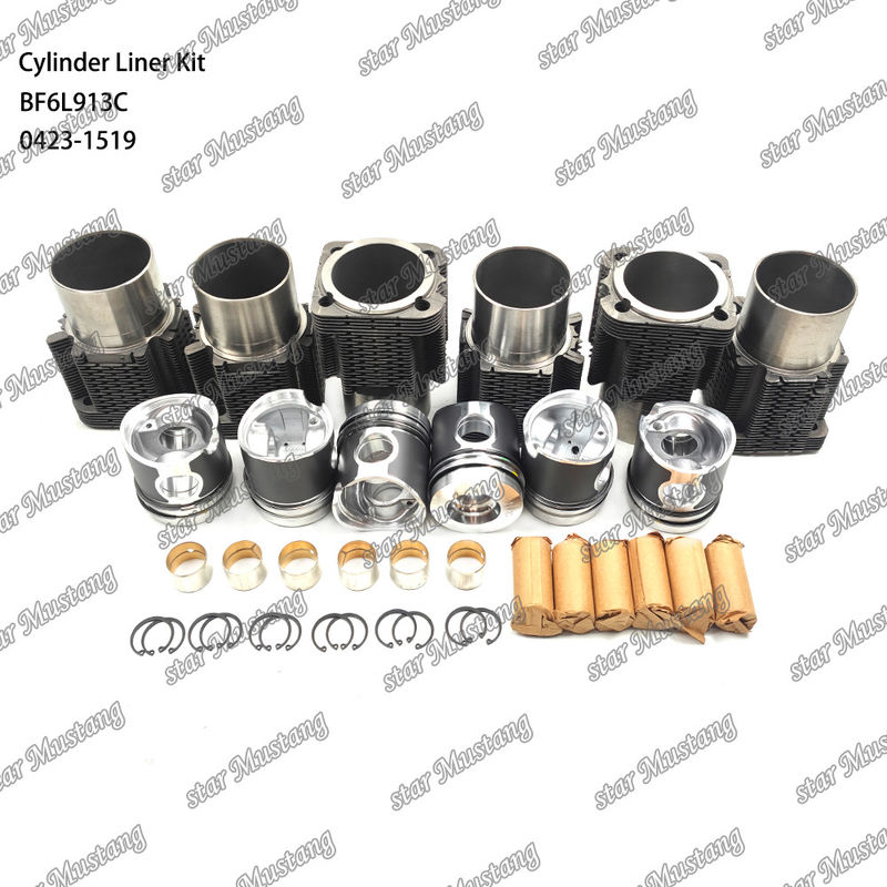 Nuovo kit di rivestimento per motori diesel tipo BF6L913C 0423-1519