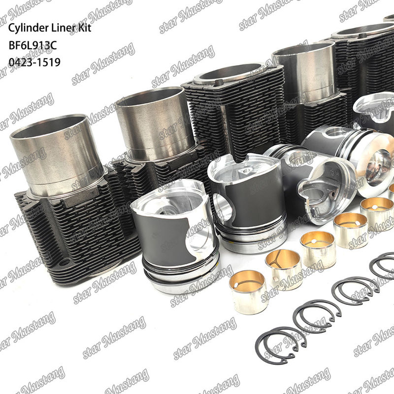 Nuovo kit di rivestimento per motori diesel tipo BF6L913C 0423-1519