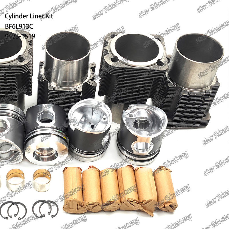 Nuovo kit di rivestimento per motori diesel tipo BF6L913C 0423-1519