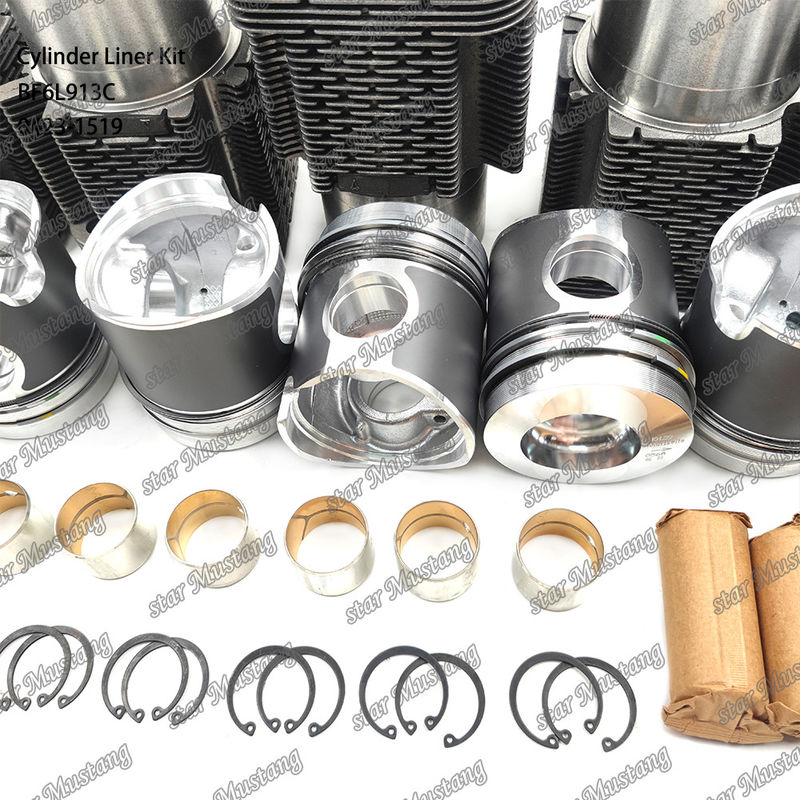 Nuovo kit di rivestimento per motori diesel tipo BF6L913C 0423-1519