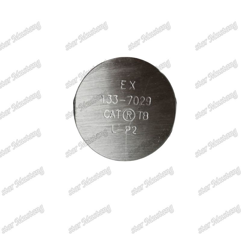 3176C C10 IN 7E9578 EX 133-7029 Valvola per ricambi di motore Caterpillar
