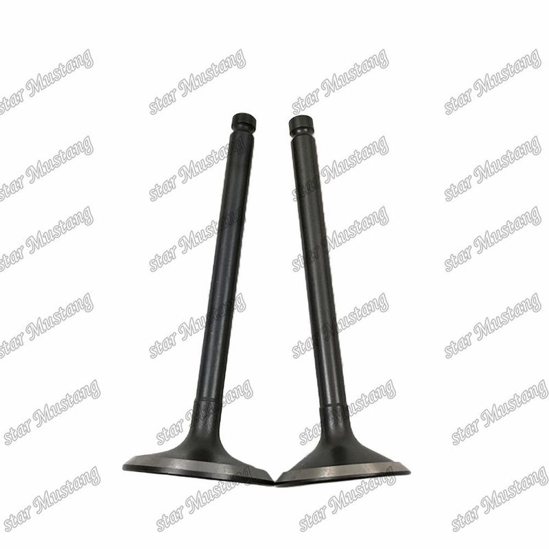 Valvola 3KR1 8941190881 8-94119088-1 5125520462 5-12552046-2 Per ricambi per motori Isuzu