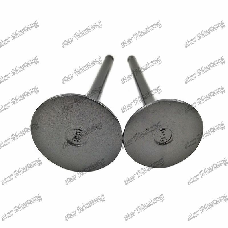Valvola 3KR1 8941190881 8-94119088-1 5125520462 5-12552046-2 Per ricambi per motori Isuzu
