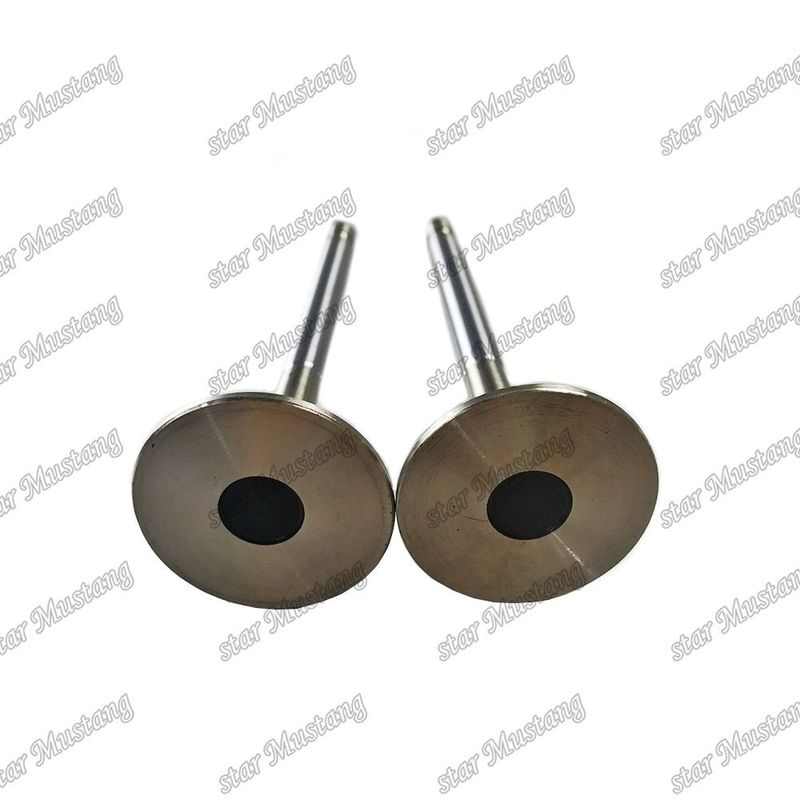 Valvola 4HL1 IN 8-94395-113-1 EX 8-94395-462-0 Adatta a ricambi per motori Isuzu