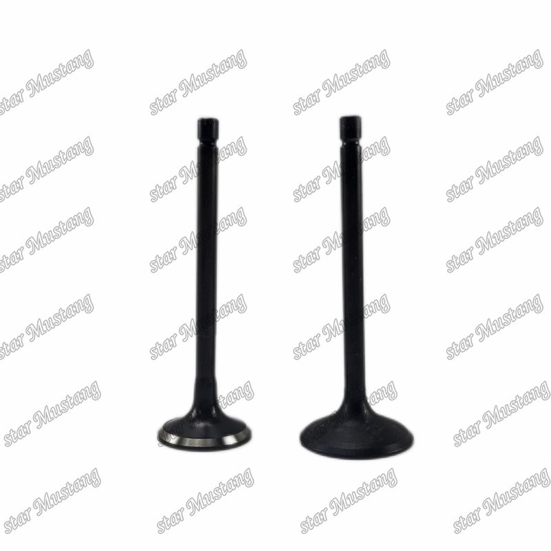 Valvola 4JG2 8-97131729-2 8-97080214-1 Adatta per ricambi per motori Isuzu