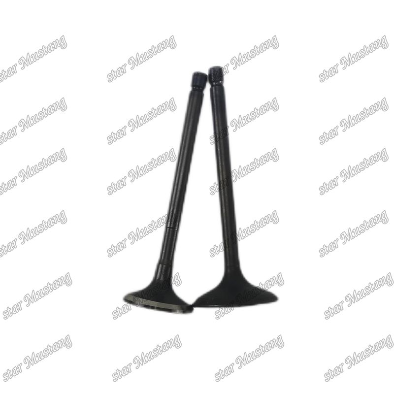 Valvola 4JG2 8-97131729-2 8-97080214-1 Adatta per ricambi per motori Isuzu