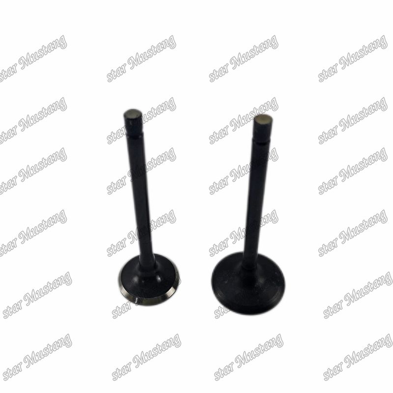 Valvola 4JG2 8-97131729-2 8-97080214-1 Adatta per ricambi per motori Isuzu