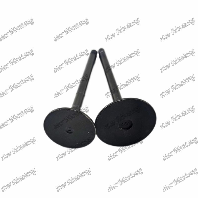 Valvola 4JG2 8-97131729-2 8-97080214-1 Adatta per ricambi per motori Isuzu