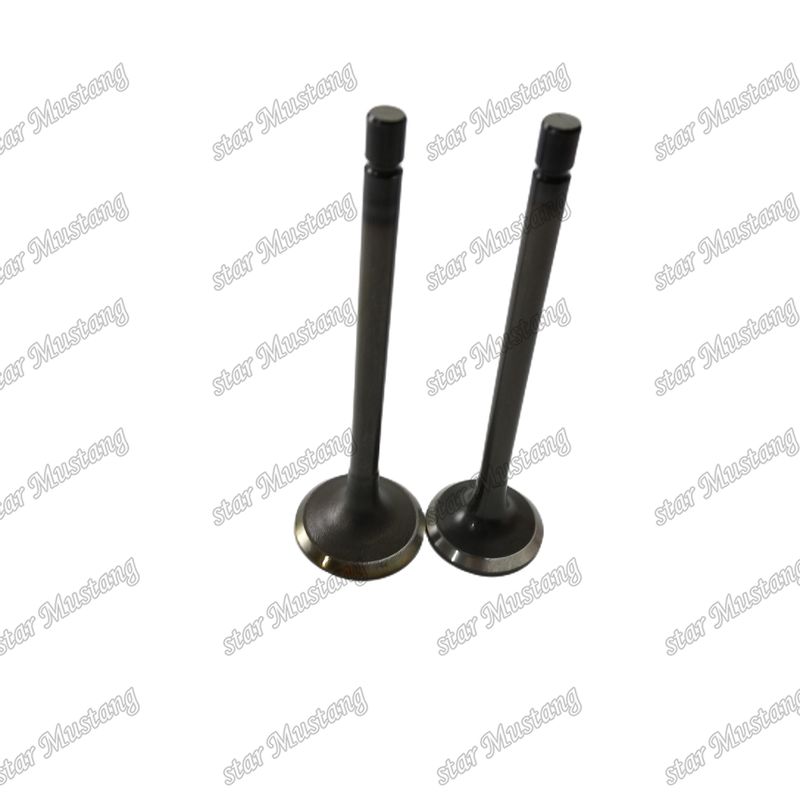 Valvola 4JJ1 8-97309-675-1 8-97309-677-1 per ricambi per motori Isuzu