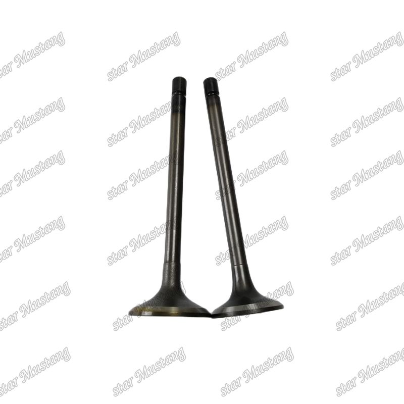 Valvola 4JJ1 8-97309-675-1 8-97309-677-1 per ricambi per motori Isuzu