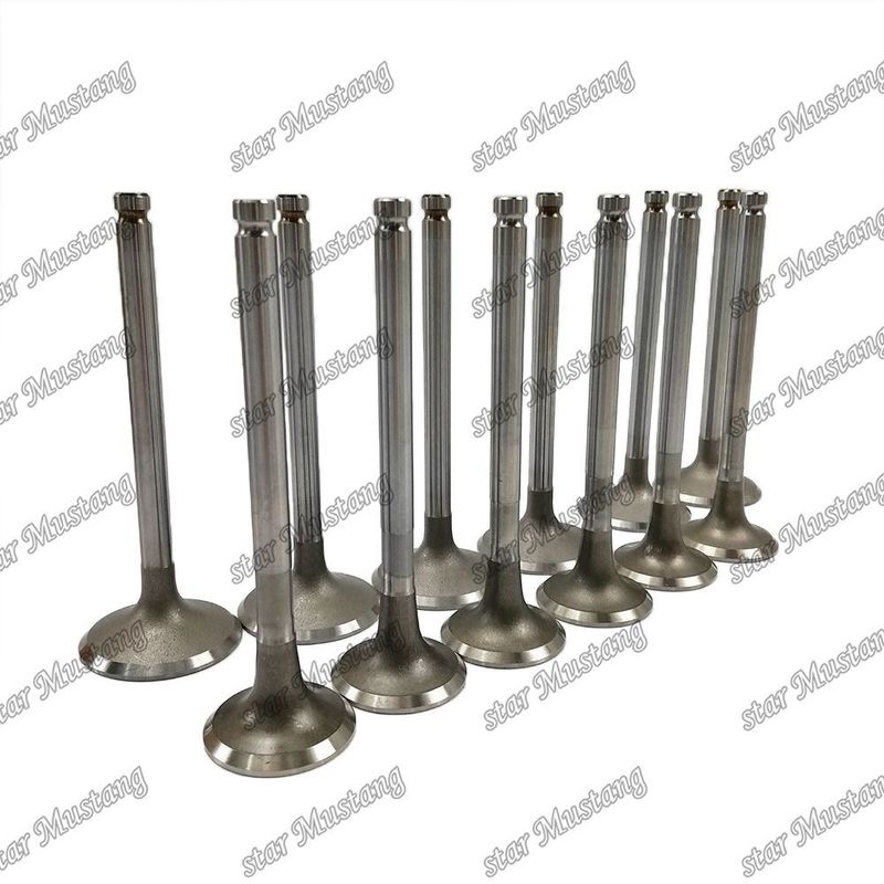 Valvola del motore 6BD1 DB58 IN 65.01735-2558 EX 65.01734-267 Adatta per ricambi motore Isuzu