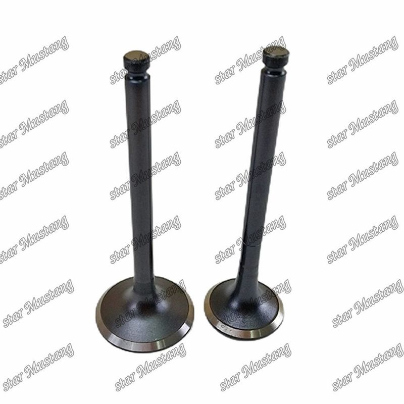 Valvola 6BF1 IN 1-12551-139-0 EX 1-12552-706-0 Adatta a ricambi per motori Isuzu