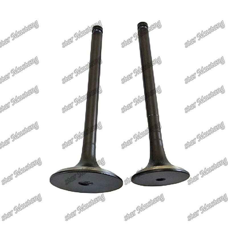 Valvola 6BF1 IN 1-12551-139-0 EX 1-12552-706-0 Adatta a ricambi per motori Isuzu
