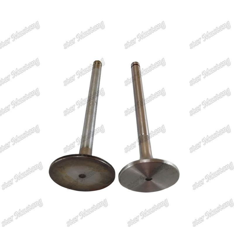 Valvola EK100 EK130 EF750 13715-1060 13711-1450 Adatta per ricambi per motori Hino