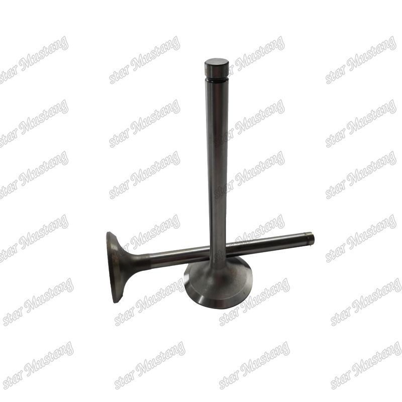 Valvola EK100 EK130 EF750 13715-1060 13711-1450 Adatta per ricambi per motori Hino