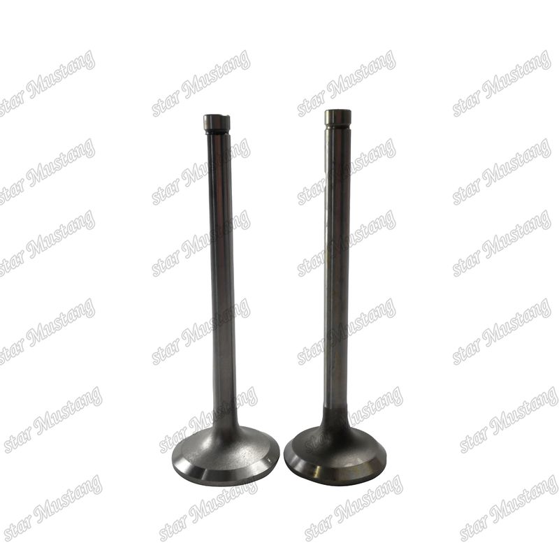 Valvola EK100 EK130 EF750 13715-1060 13711-1450 Adatta per ricambi per motori Hino