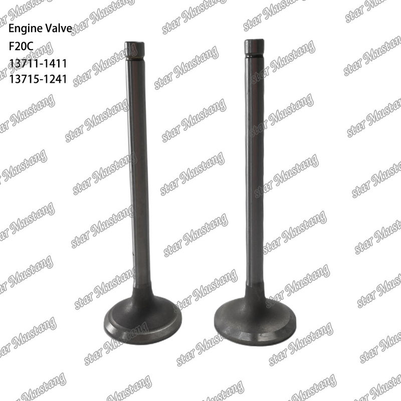 Valvola del motore F20C 13711-1411 13715-1241 Adatta a ricambi per motori Hino