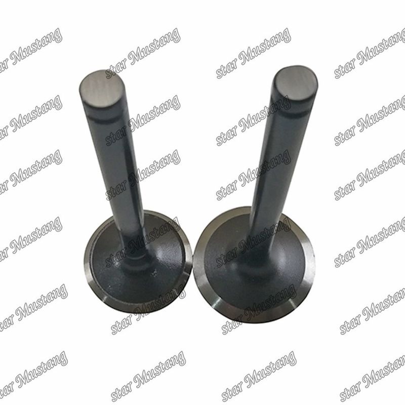 Valvola W06D W06E 13711-1521 13715-1570 Adatta per ricambi per motori Hino