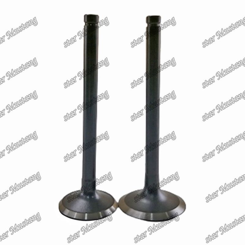 Valvola W06D W06E 13711-1521 13715-1570 Adatta per ricambi per motori Hino