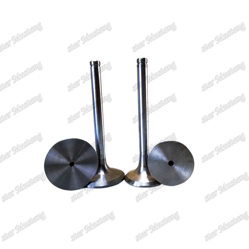 Parti di ricambio del motore Doosan VALVA D2848 IN 65.01611-2031 EX 65.01611-2042