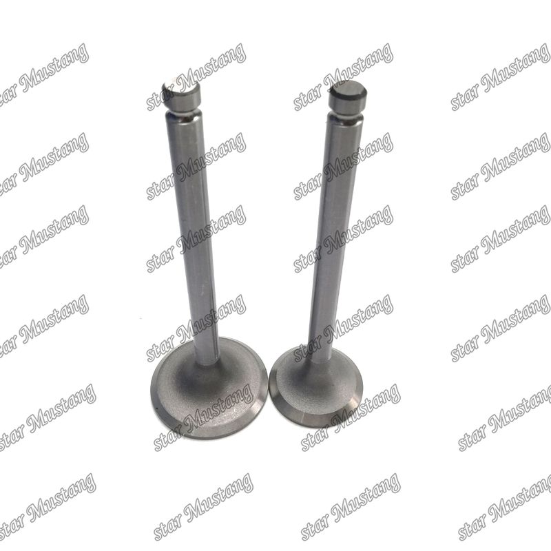 VALVA DEL MOTORE DB33 65.02500-0001 65.02500-0002 Adatta per ricambi del motore Doosan