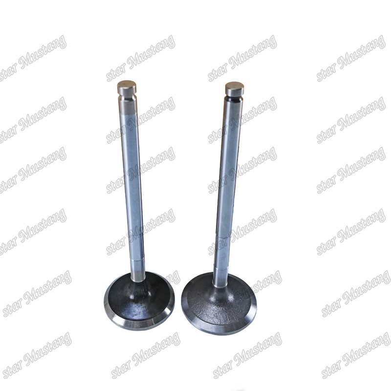 Valvola diesel DE08 IN 65.01611-2031 EX 65.01611-2042 Adatta a ricambi per motori Doosan