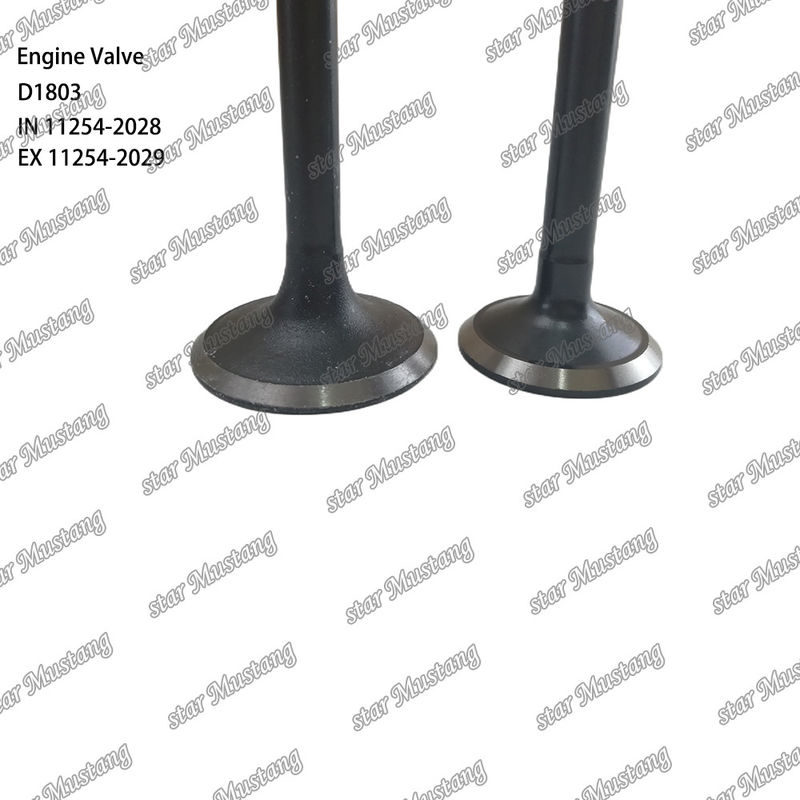 Motore diesel D1803 IN 11254-2028 EX 11254-2029 Blocco corto con valvola a struttura integrata