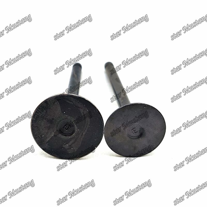 F2302 IN 17331-13110 EX 17331-13120 Con supporto online dopo