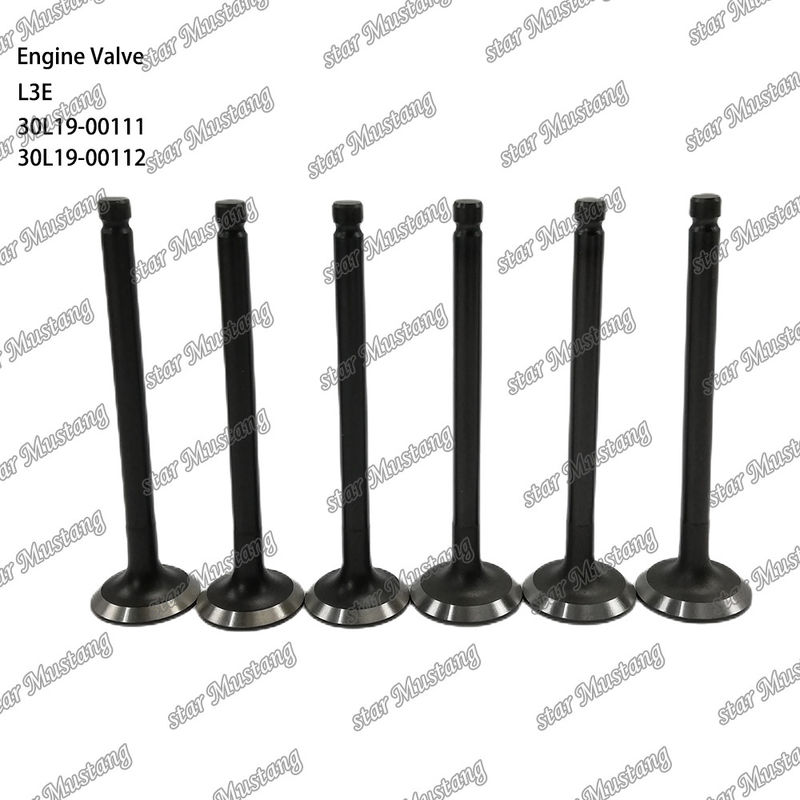 L3E 30L19-00111 30L19-00112 Valvola del motore diesel adatta a ricambi Mitsubishi