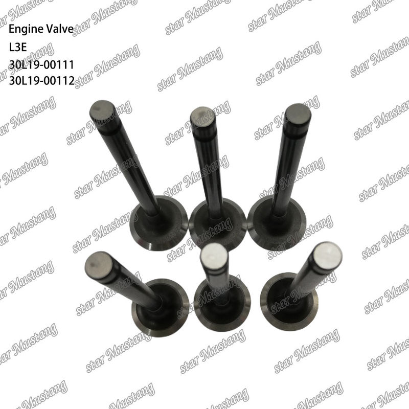 L3E 30L19-00111 30L19-00112 Valvola del motore diesel adatta a ricambi Mitsubishi