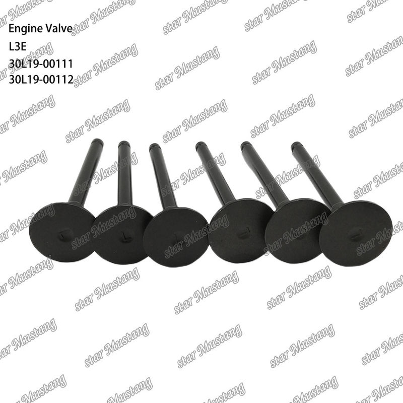L3E 30L19-00111 30L19-00112 Valvola del motore diesel adatta a ricambi Mitsubishi